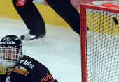 puck